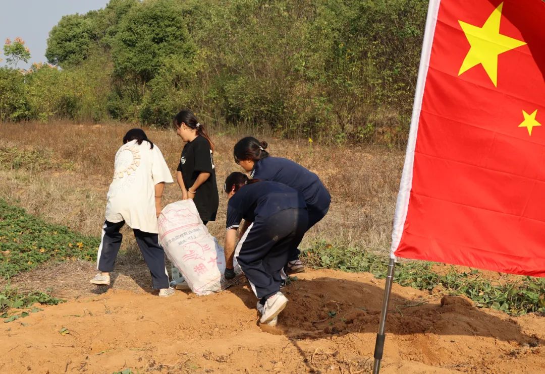 传承雷锋精神，助力赛美桃园！